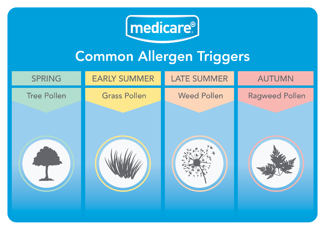 Common Allergen Triggers