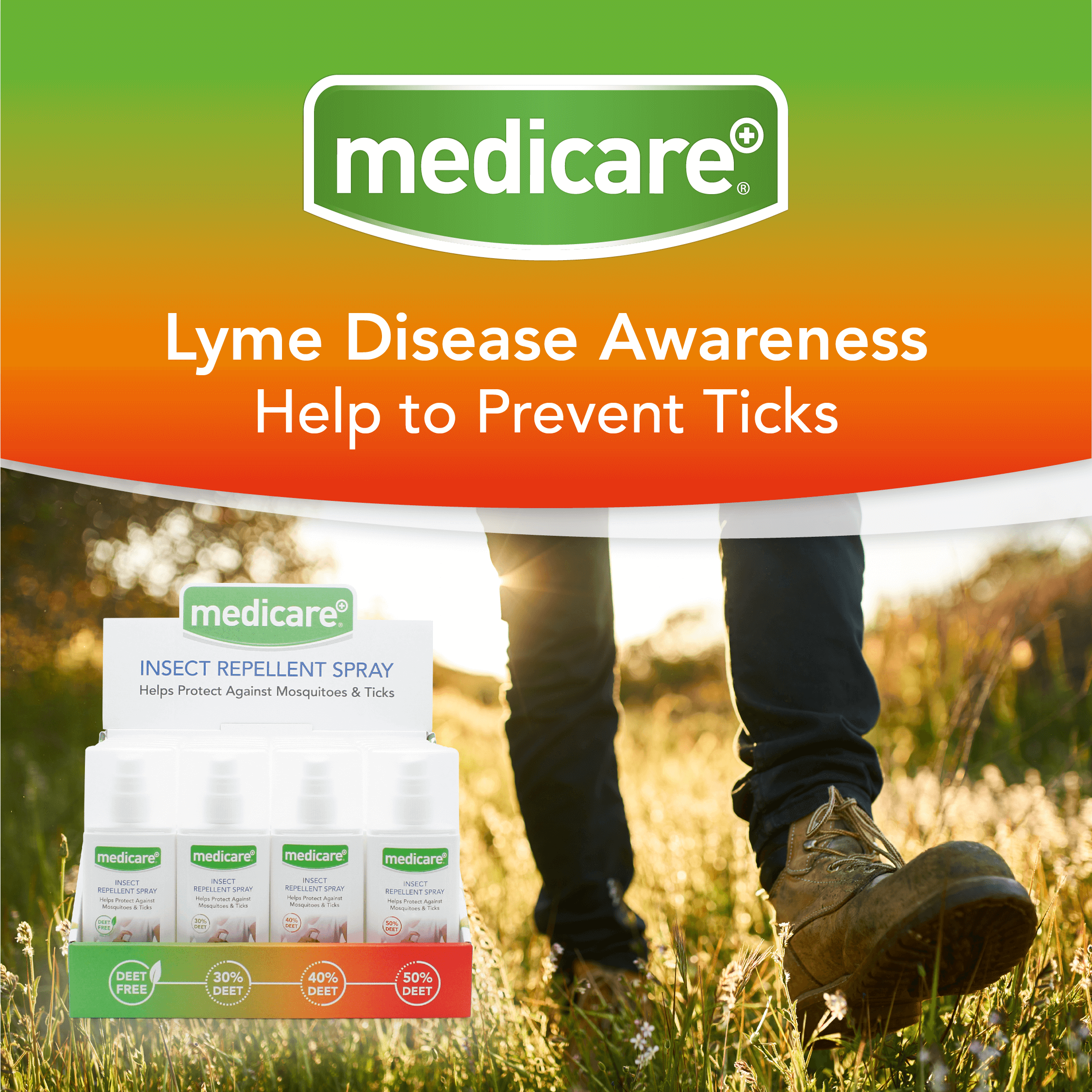 Lymes Disease Blog