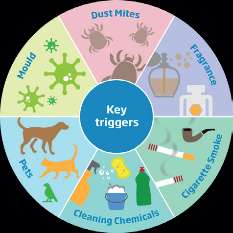 Key Asthma Triggers