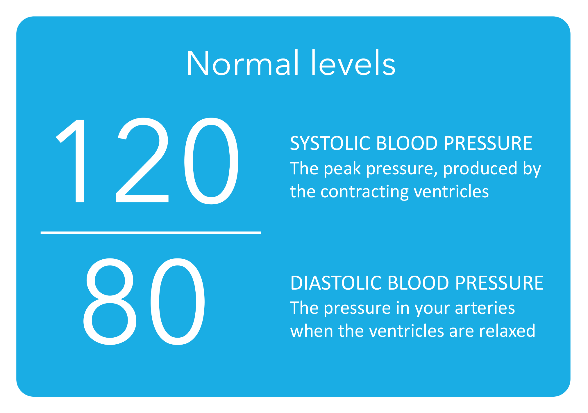 Men's Normal Blood Pressure