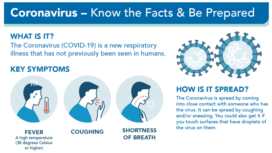 Image result for covid 19 infograpgic irelanmd