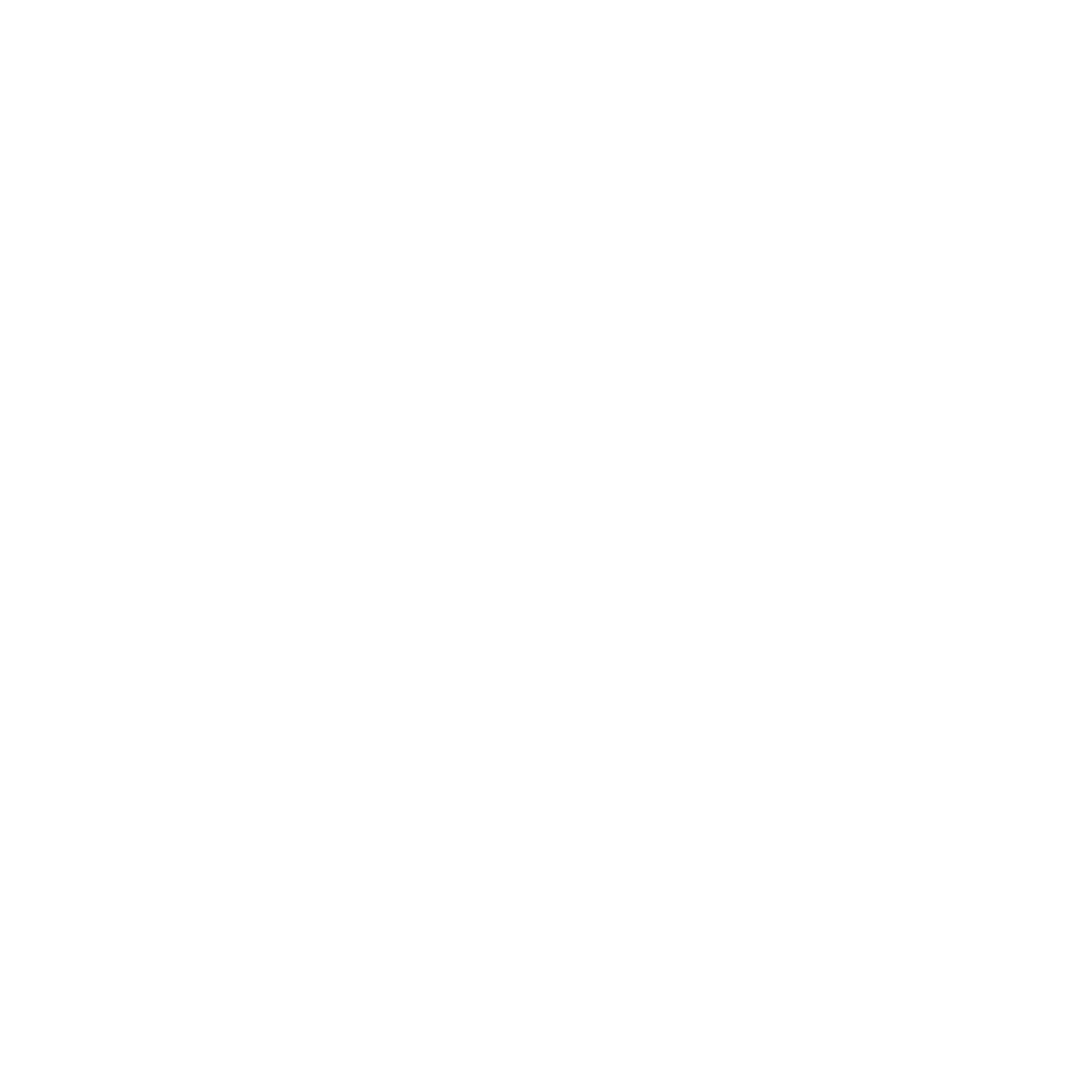 timer-icon