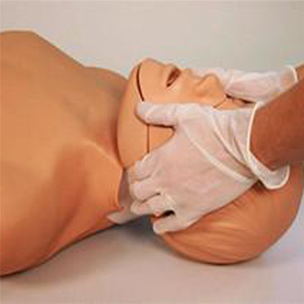 Jaw Thrust Brad CPR Manikin