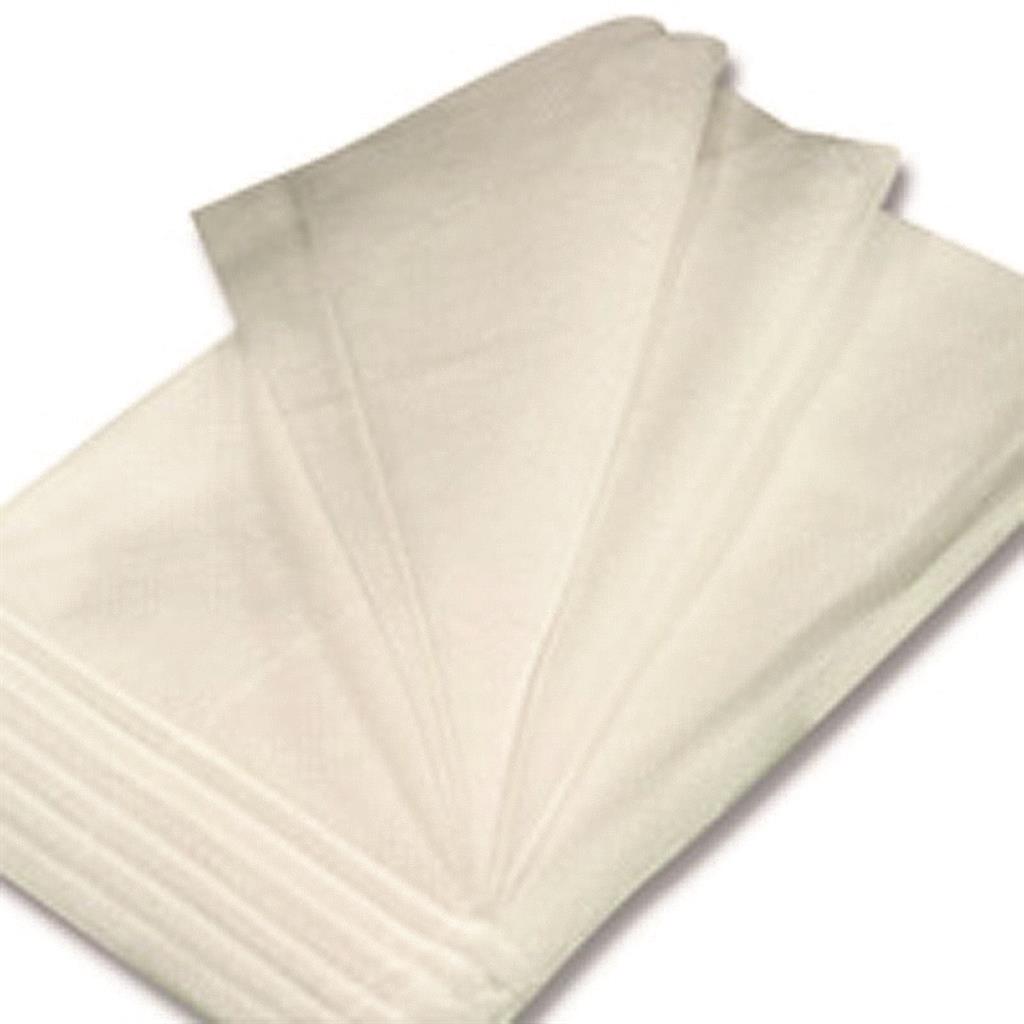 BV PAPER EXAM TABLE COUCH ROLLS WHITE 49CM X 50M (6'S)