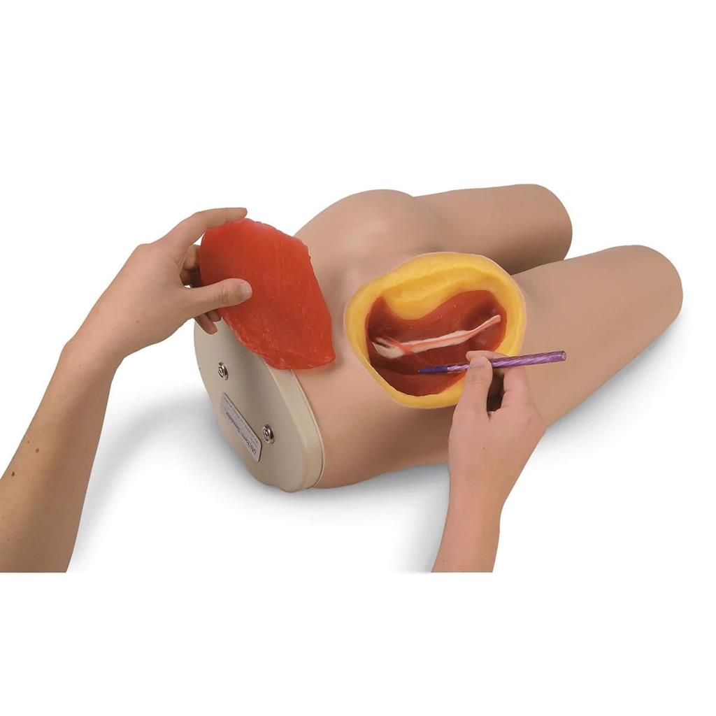 SIMULAIDS INTRAMUSCULAR INJECTION SIMULATOR