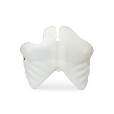 BRAD CHEST PLATE CPR