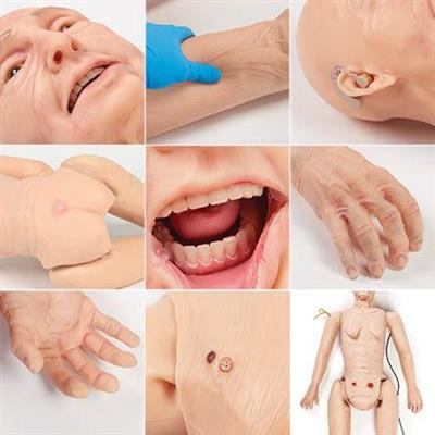 TERI ELDERLY PATIENT SKILLS TRAINER LIGHT