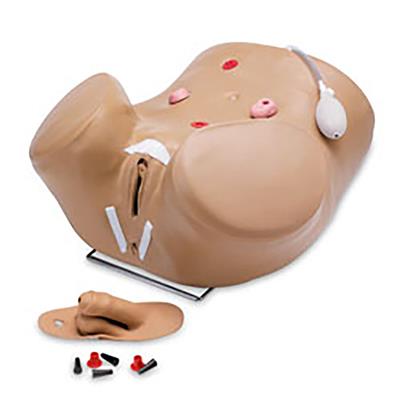 GAUMARD ADVANCED PATIENT CARE MALE AND FEMALE CATERISATION SIMULATOR