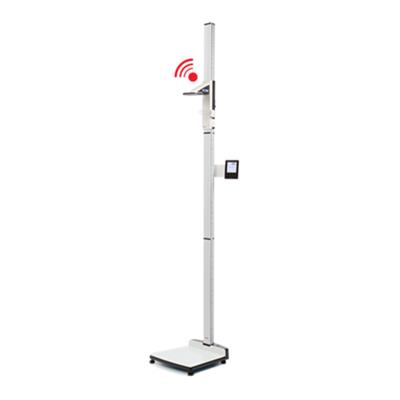 SECA WIRELESS MEASURING STATION