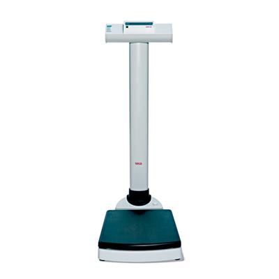 SECA DIGITAL COLUMN SCALE WITH VERY HIGH CAPACITY