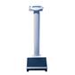 SECA DIGITAL COLUMN SCALE WITH BMI FUNCTION CLASS 111